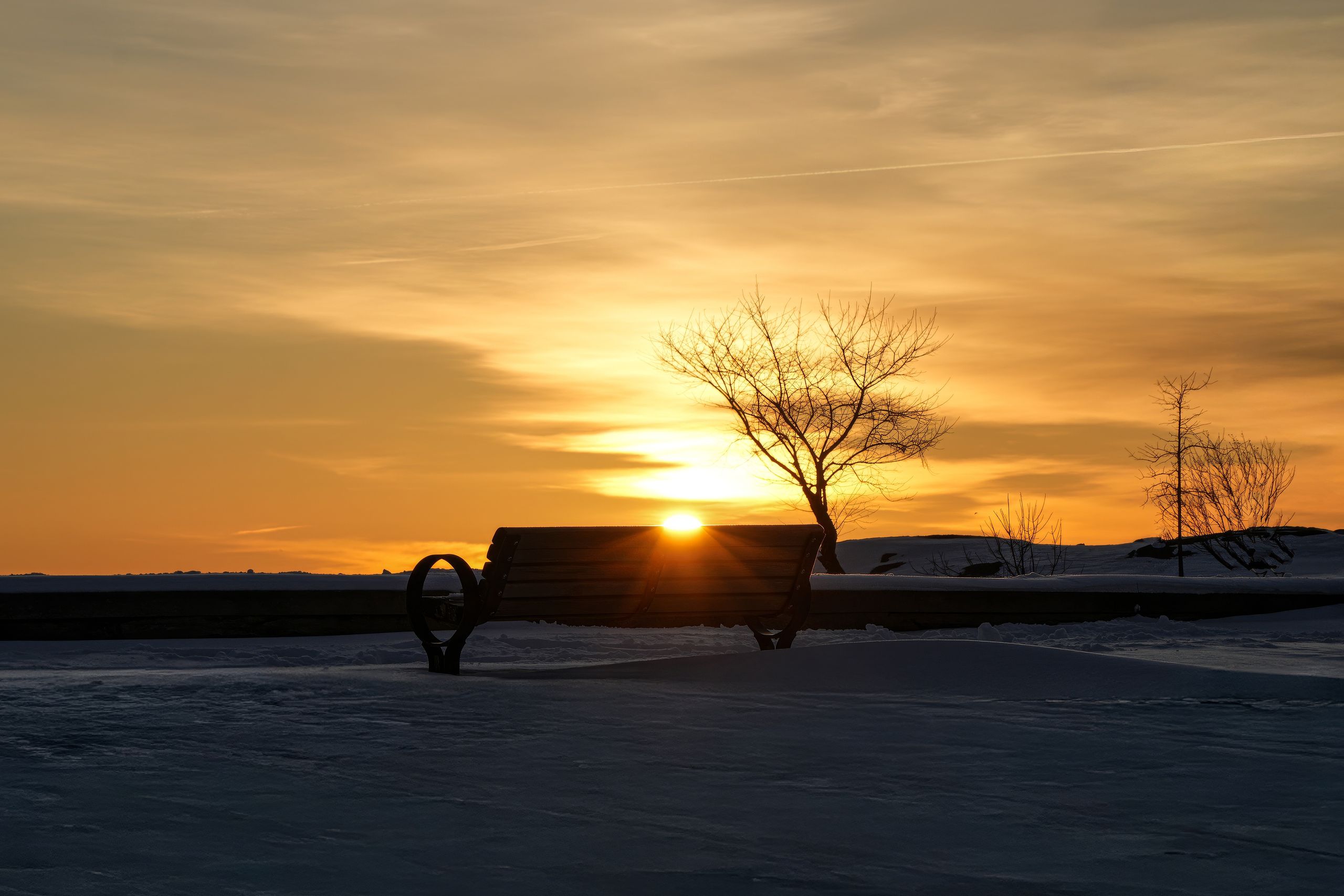 Beautiful winter sunset with a park bench and tree silhouetted against the golden sky.
